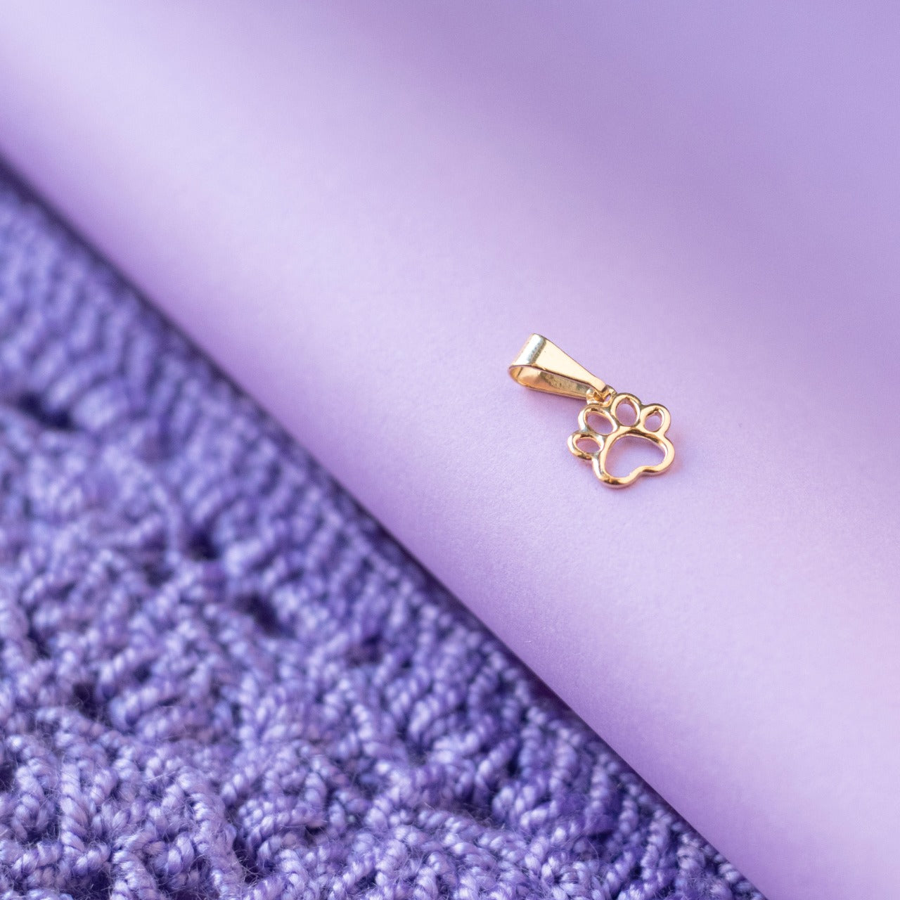 Dije Mini Huella Perro