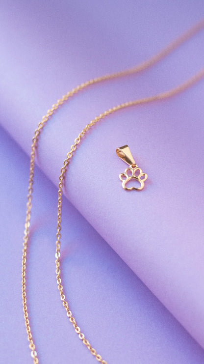 Dije Mini Huella Perro