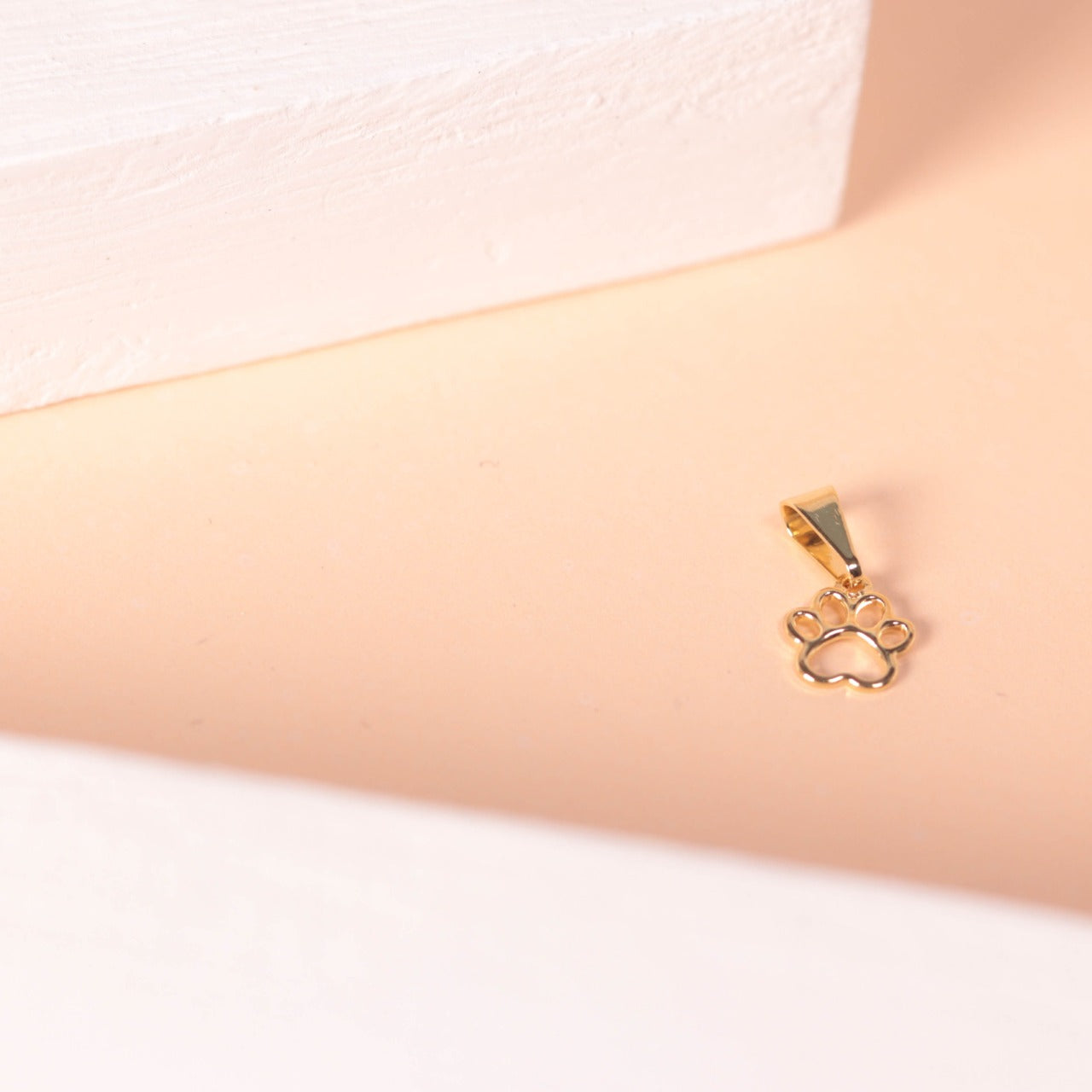 Dije Mini Huella Perro