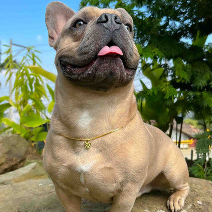 Dije B. Frances Cristal